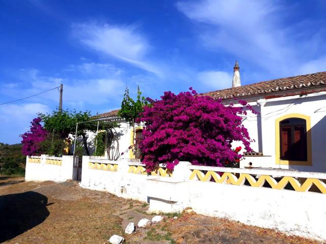 Quinta venda em Messines de Baixo, São Bartolomeu De Messines