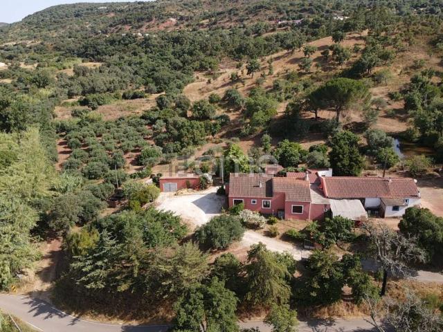 Quinta venda em São Bartolomeu De Messines, Pico Alto