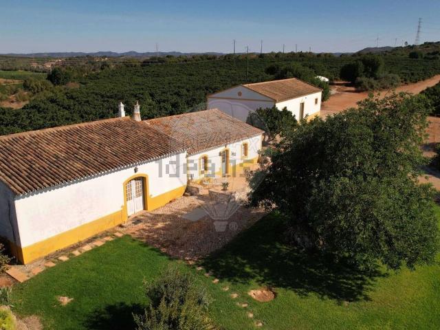 Quinta venda em São Bartolomeu De Messines, Faro