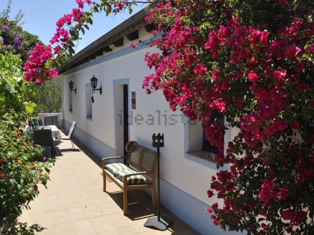 Quinta venda em São Bartolomeu De Messines, Faro