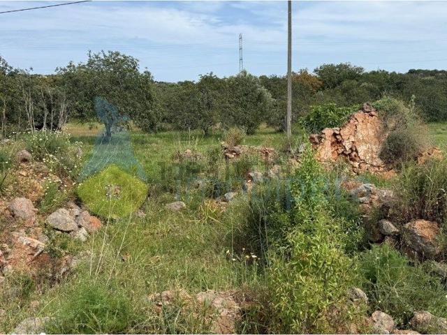 Quinta venda em São Bartolomeu De Messines, Faro