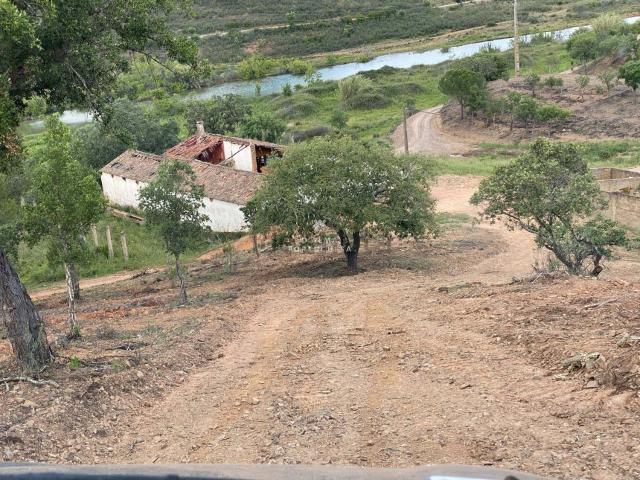 Quinta venda em São Bartolomeu De Messines, Faro