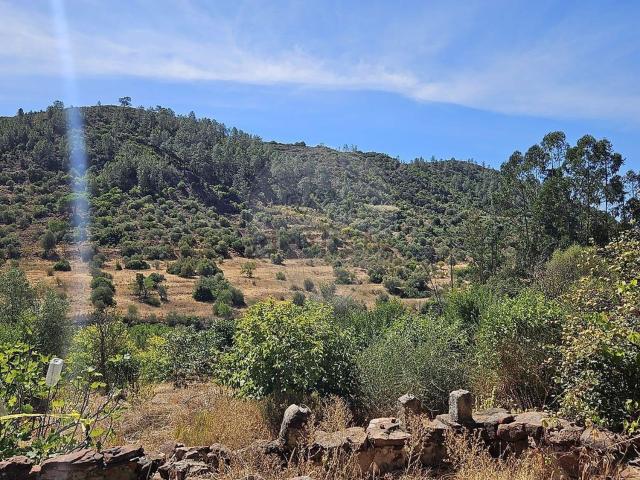 Quinta venda em São Bartolomeu De Messines, Faro