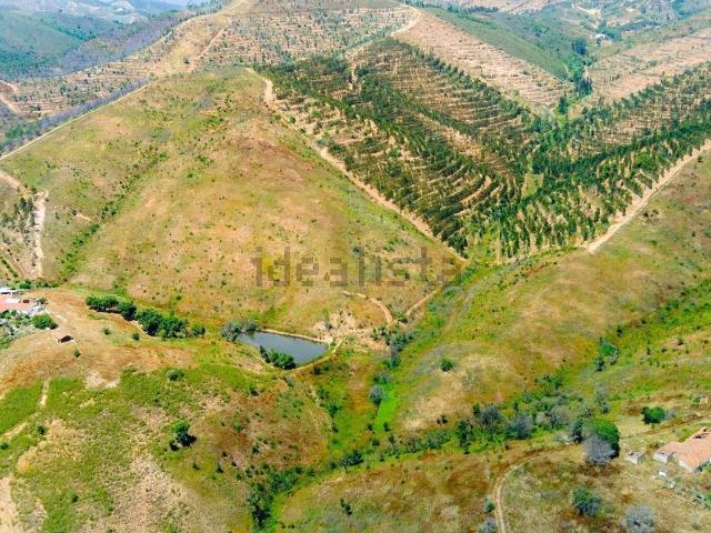 Quinta venda em São Bartolomeu De Messines, Faro