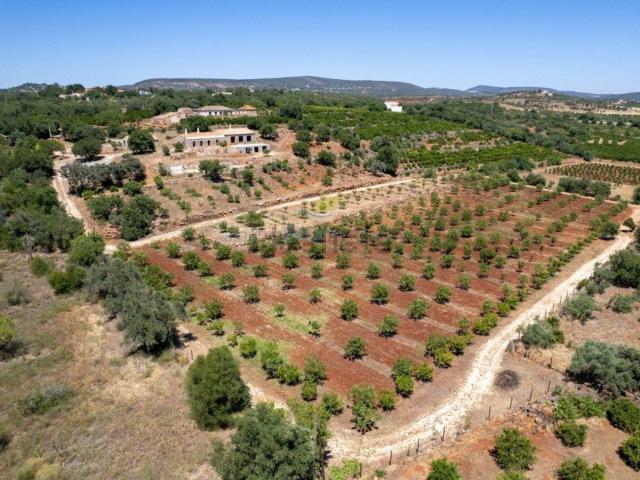 Quinta venda em São Bartolomeu De Messines, Faro