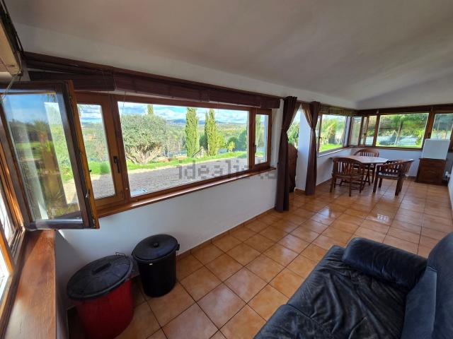 Quinta venda em São Bartolomeu De Messines, Faro