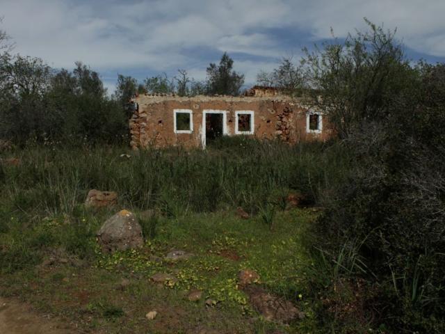 Quinta venda em São Bartolomeu De Messines, Faro