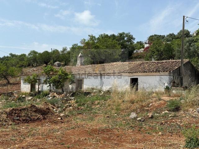 Quinta venda em São Brás de Alportel