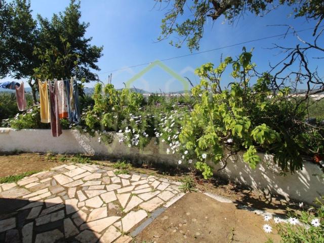 Quinta venda em São Brás De Alportel, Faro