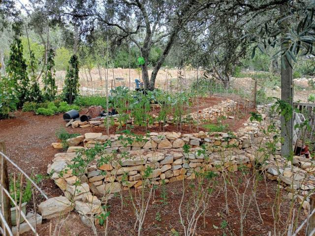 Quinta venda em Paixanito, Loulé