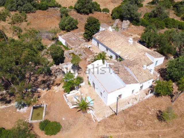 Quinta venda em São Clemente, Alto Relógio