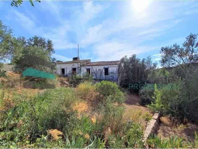 Quinta venda em Franqueada, Loulé