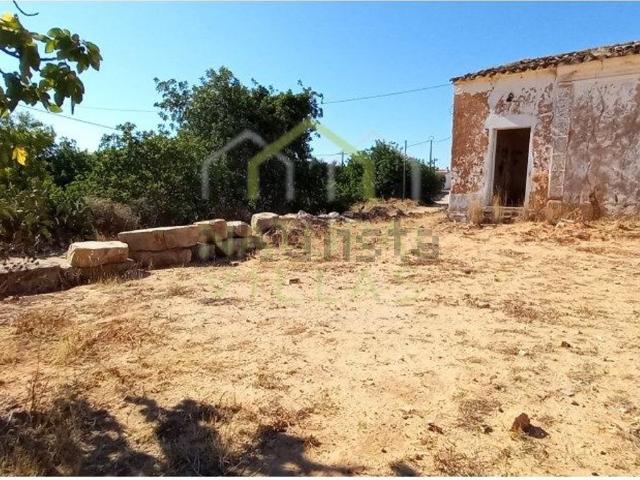 Quinta venda em Alfarrobeira, Loulé