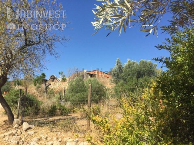 Quinta venda em Torrejão, Loulé