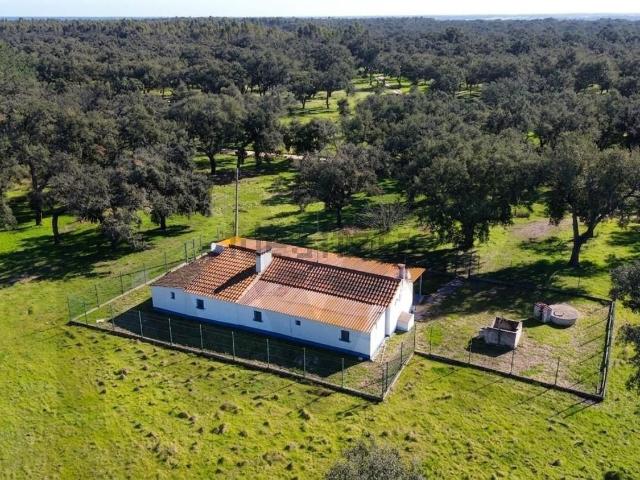 Quinta venda em Santiago Do Cacém, Setúbal