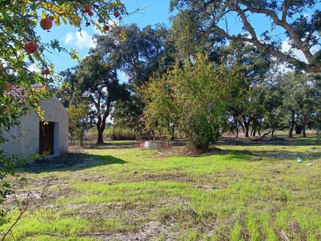Quinta venda em Santiago Do Cacém, Setúbal