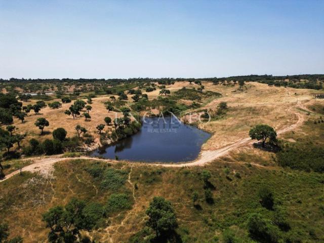 Quinta venda em Santiago Do Cacém, Setúbal