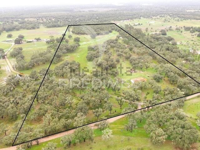 Quinta venda em Santiago Do Cacém, Setúbal
