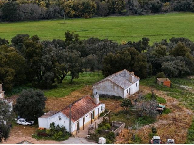 Quinta venda em Santiago Do Cacém, Setúbal