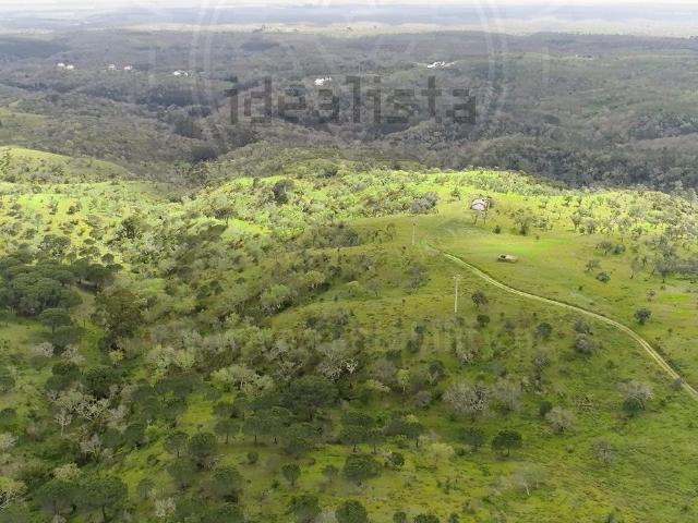 Quinta venda em Grândola, Setúbal