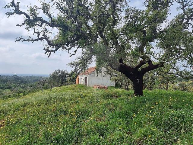 Quinta venda em Cruz de João Mendes, Santiago Do Cacém