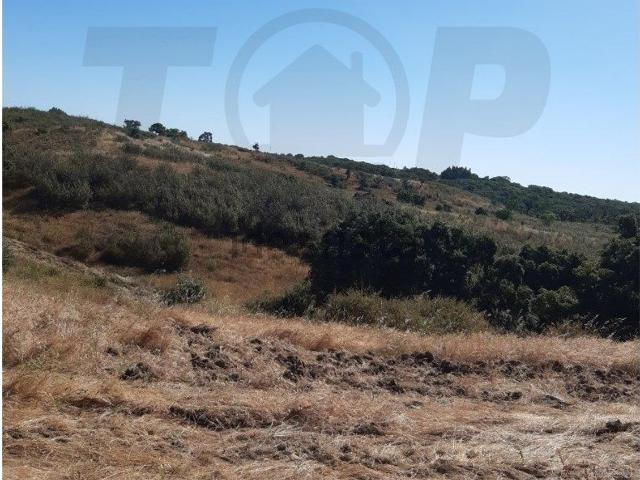 Quinta venda em Santiago Do Cacém, Setúbal