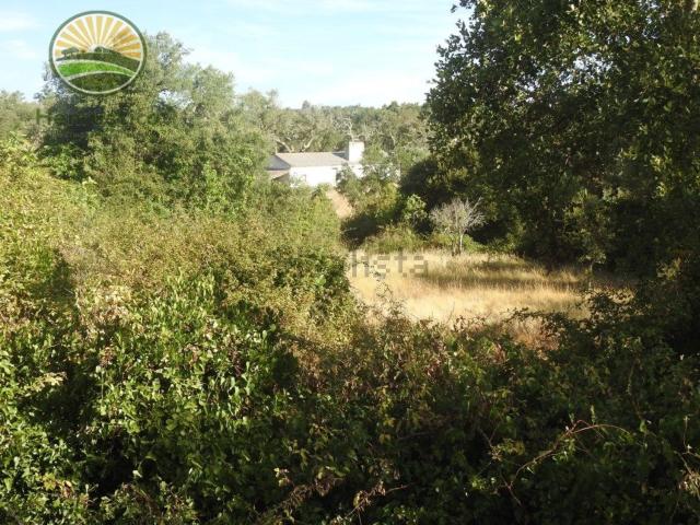 Quinta venda em São Francisco da Serra, Santiago do Cacém