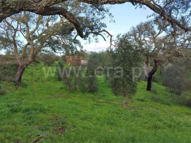 Quinta venda em Valinho, Santiago Do Cacém