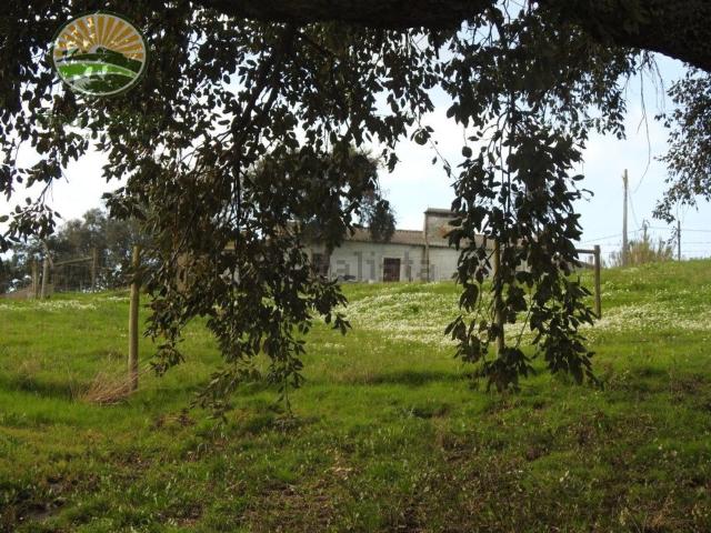 Quinta venda em Santiago Do Cacém, Setúbal