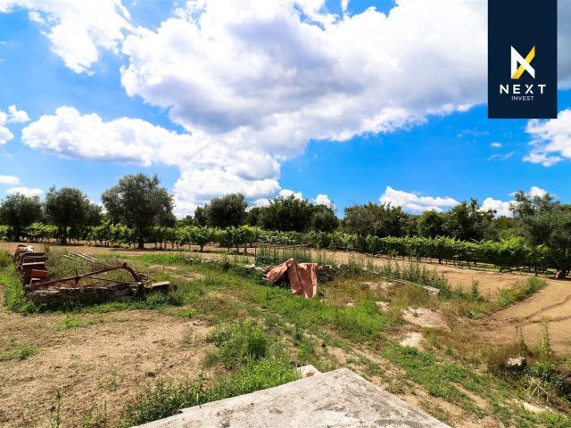 Quinta venda em São João de Lourosa, Viseu