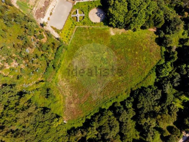 Quinta venda em Póvoa De Lanhoso, Braga