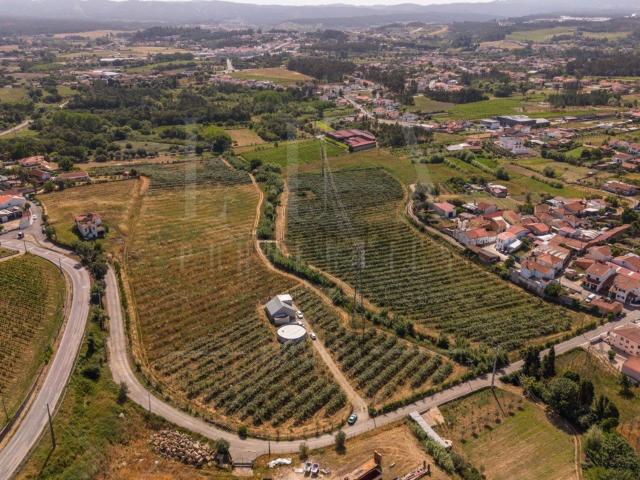 Quinta venda em Anadia, Aveiro