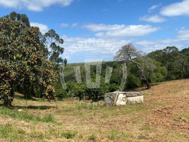 Quinta venda em São Luís, Odemira