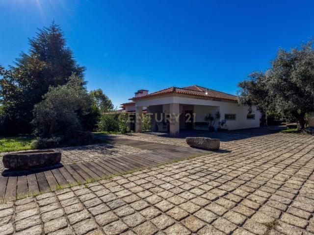 Quinta venda em Recezinhos (São Mamede), Marecos