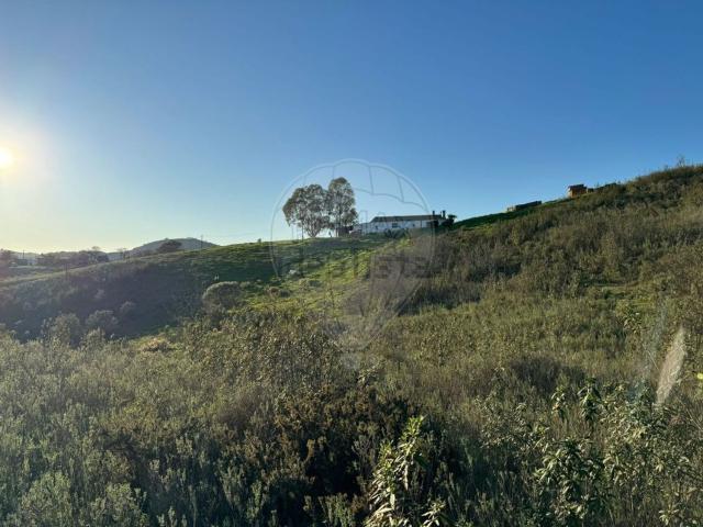 Quinta venda em São Marcos Da Serra, Faro