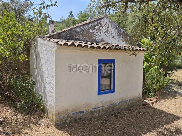 Quinta venda em Lagoão, São Marcos da Serra