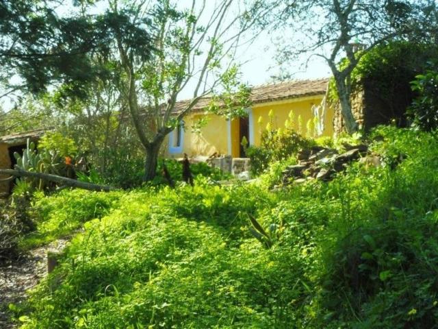 Quinta venda em São Marcos Da Serra, Faro