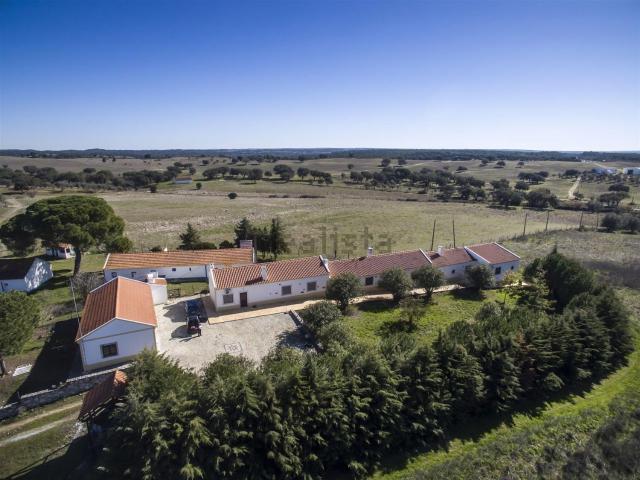 Quinta venda em Alcácer Do Sal, Setúbal