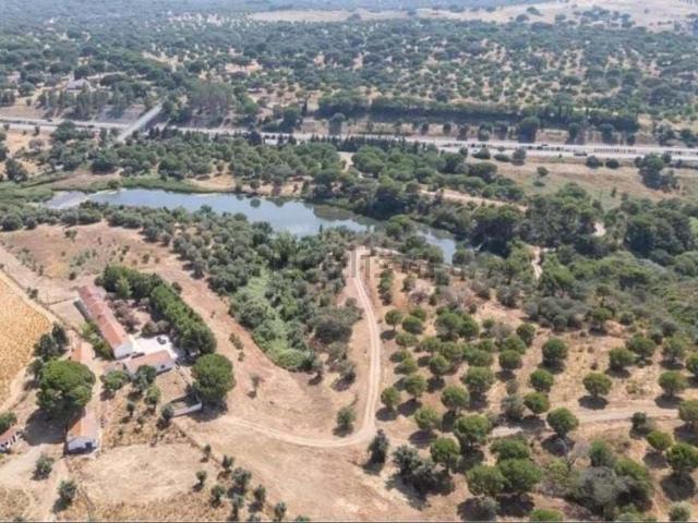 Quinta venda em Alcácer Do Sal, Setúbal