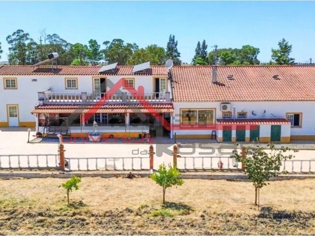 Quinta venda em São Matias, Beja