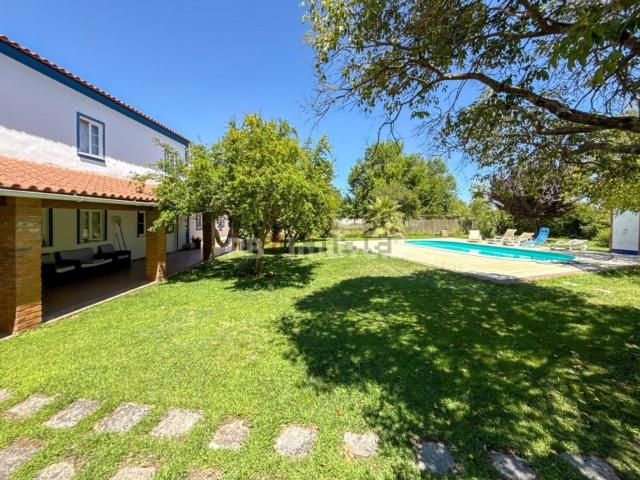 Quinta venda em Abrantes, Santarém