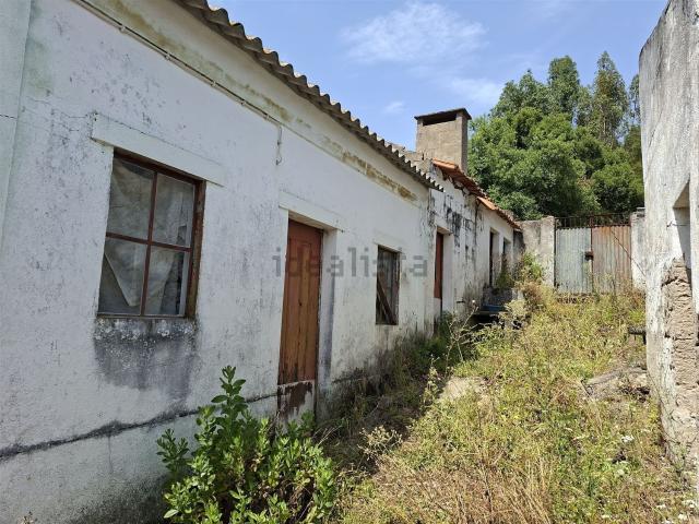Quinta venda em Abrantes, Santarém