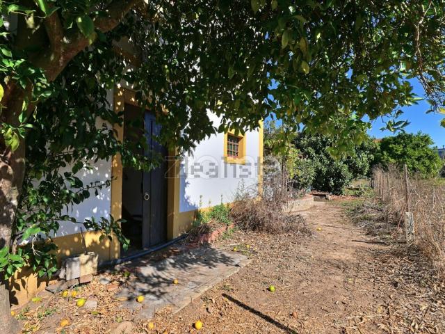 Quinta venda em Abrantes, Santarém
