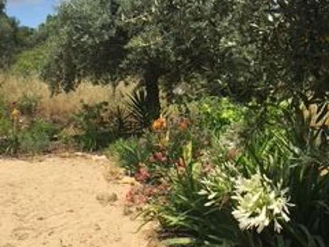 Quinta alugar em Tomar, Santarém