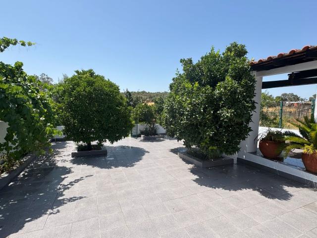 Quinta venda em São Pedro Gafanhoeira