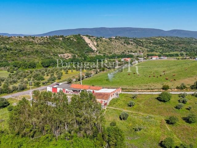 Quinta venda em Torres Novas, Santarém