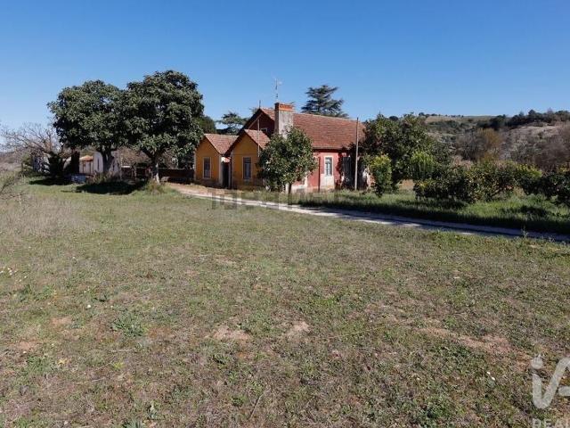 Quinta venda em Torres Novas, Santarém