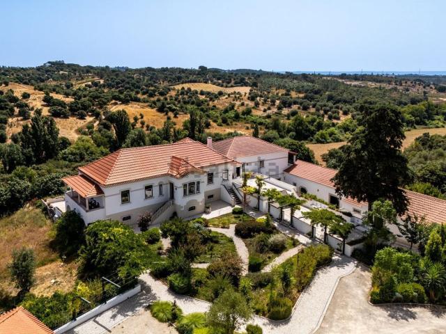 Quinta venda em Torres Novas, Santarém