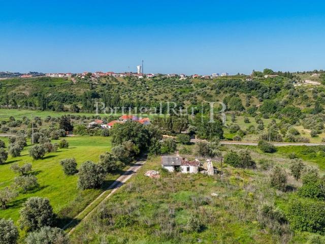 Quinta venda em Torres Novas, Santarém