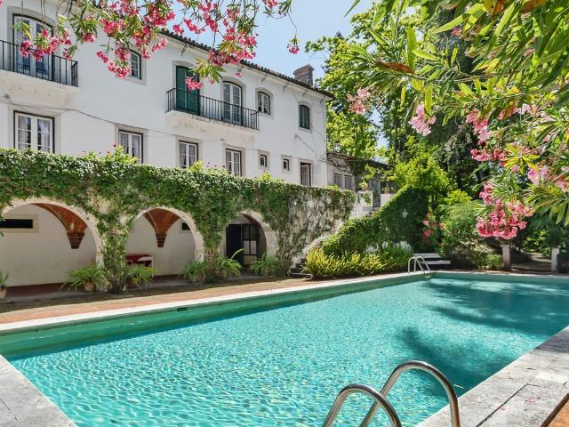 Quinta venda em Ribeira Ruiva, Torres Novas